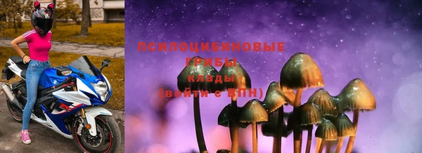 спиды Всеволожск