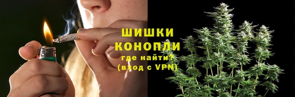 молекула духа Галич
