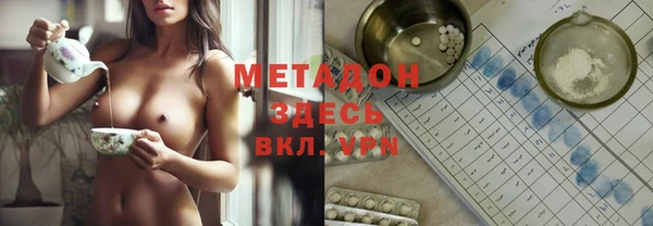 стаф Корсаков