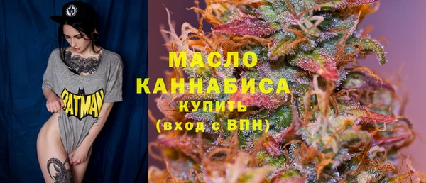 молекула духа Галич