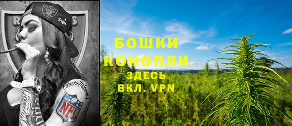 спиды Всеволожск