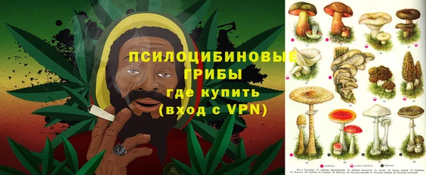 стаф Корсаков