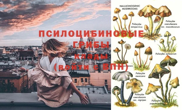 спиды Всеволожск