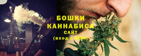 2c-b Краснослободск