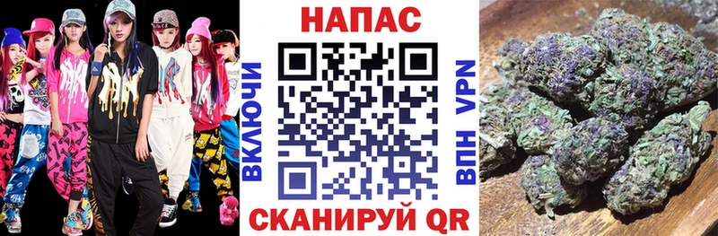 Бошки Шишки семена  Касли 